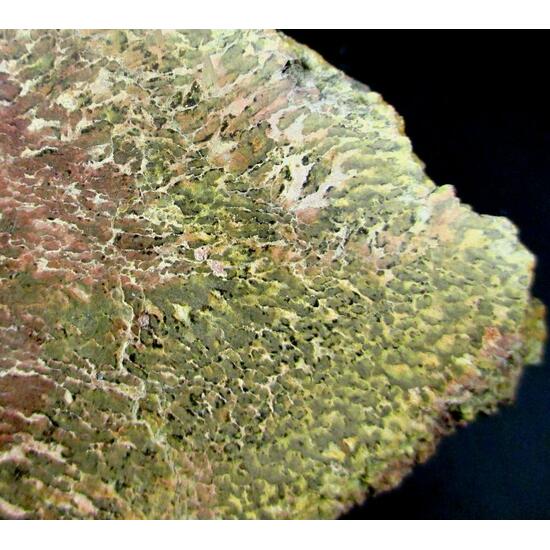 Jasper Psm Fossil Stromatolite