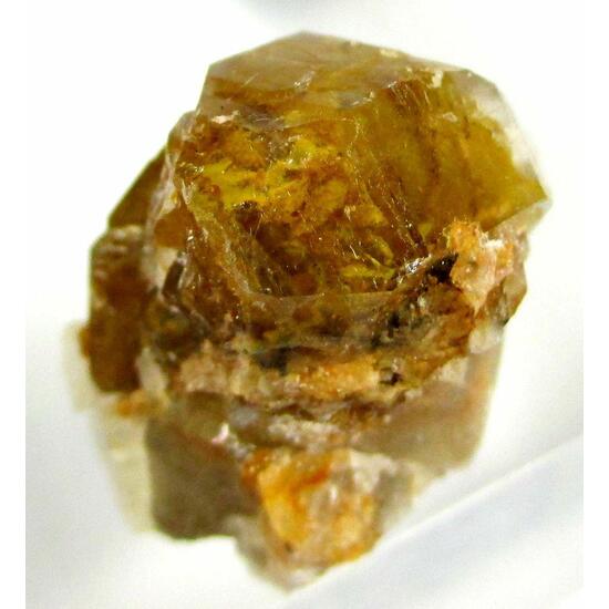 Quartz Var Eisenkiesel Psm Fossil Bacteria