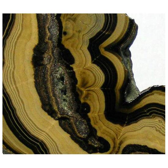 Wurtzite Galena & Sphalerite