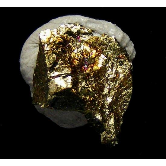 Cubanite Talnakhite & Stannoidite