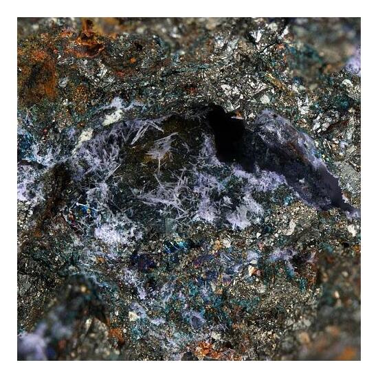 Elyite