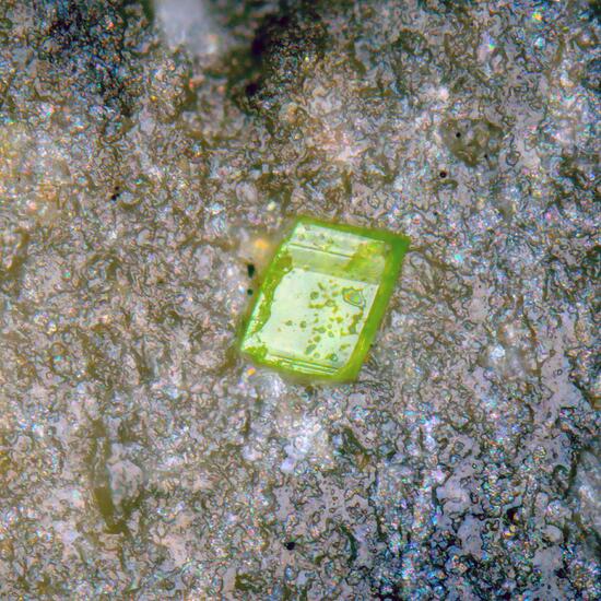 Sengierite