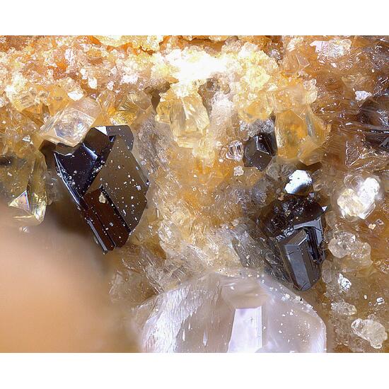 Graeserite