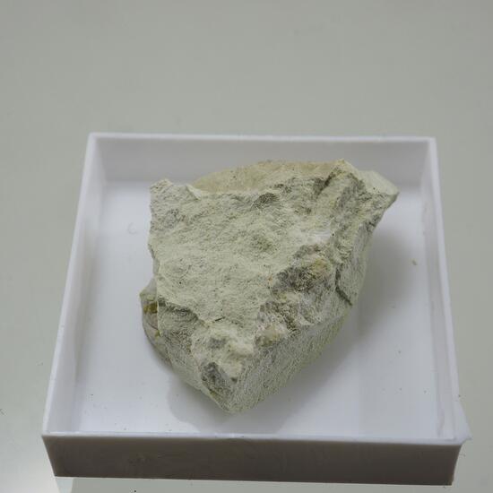 Searlesite