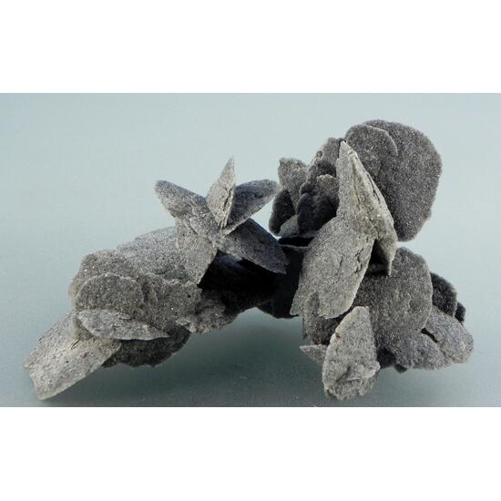 Gypsum Var Selenite