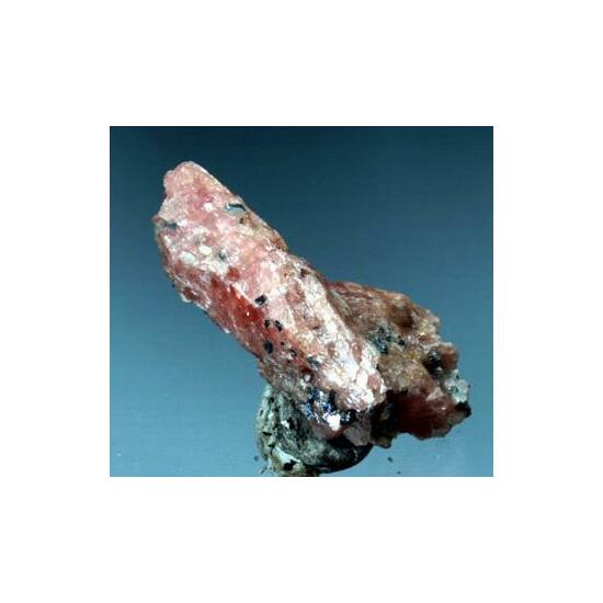 Bustamite