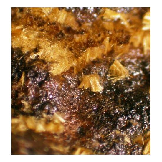 Kapundaite