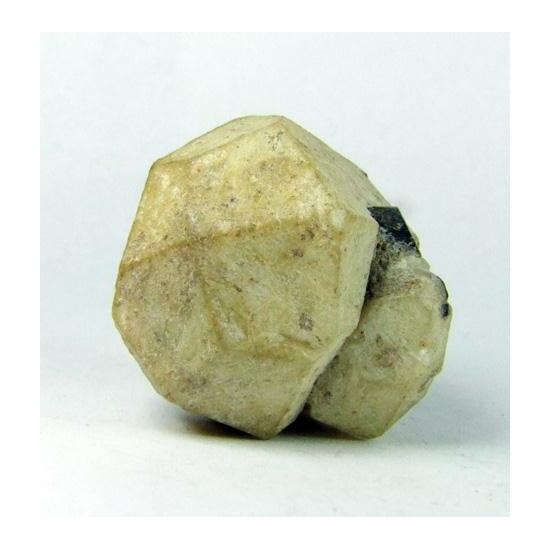Leucite & Augite
