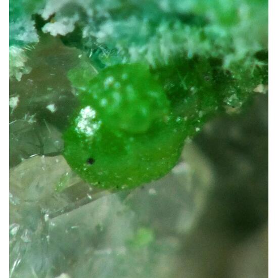 Conichalcite On Calcite