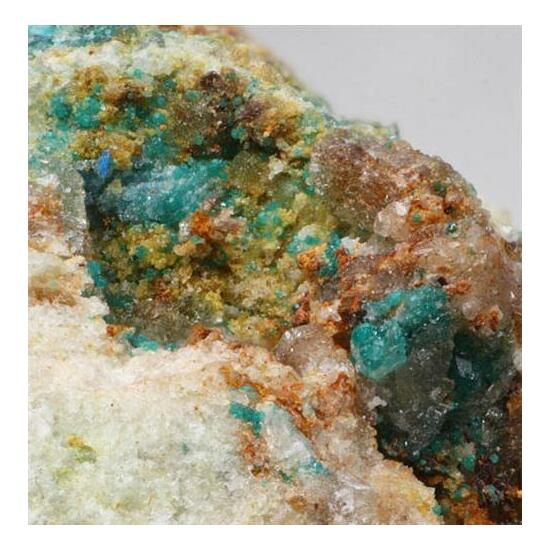 Clinoatacamite
