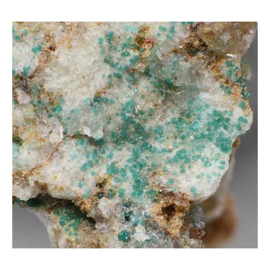 Clinoatacamite