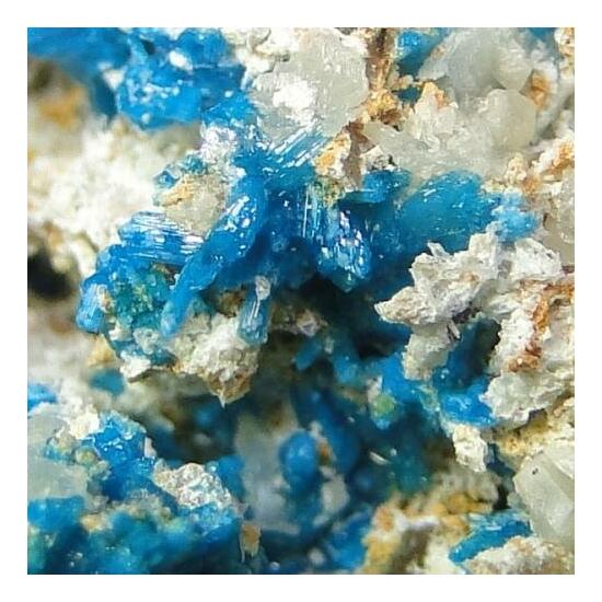 Caledonite & Linarite