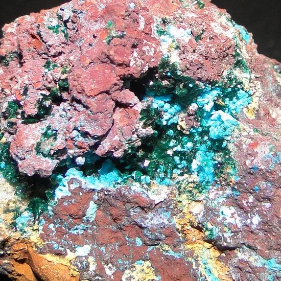 Clinoatacamite