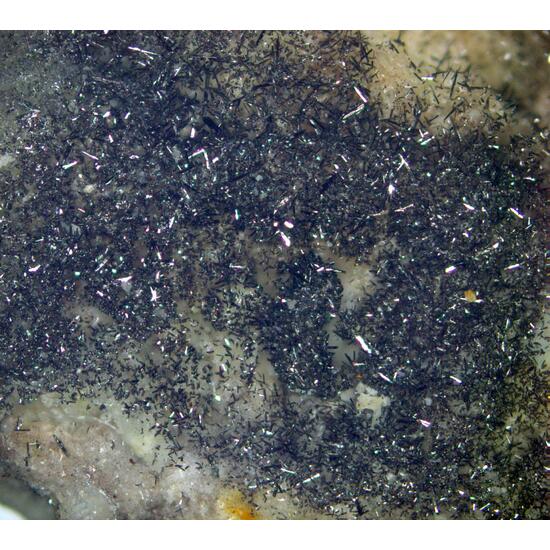 Native Selenium