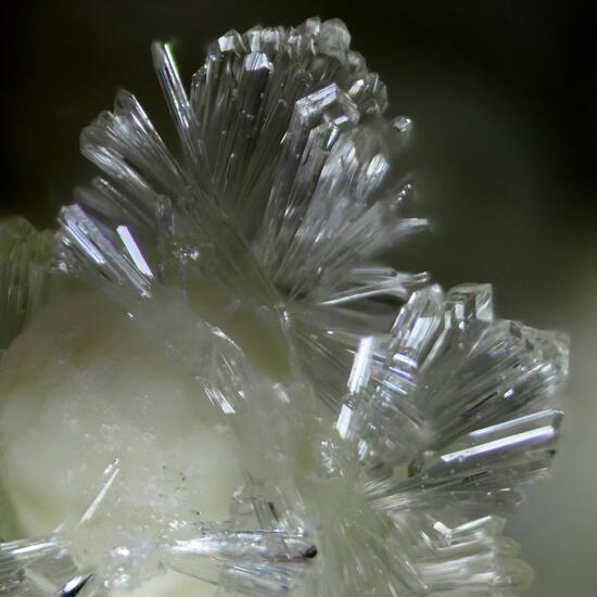 Faustite & Wavellite