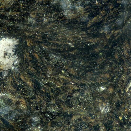Feitknechtite On Pyrochroite
