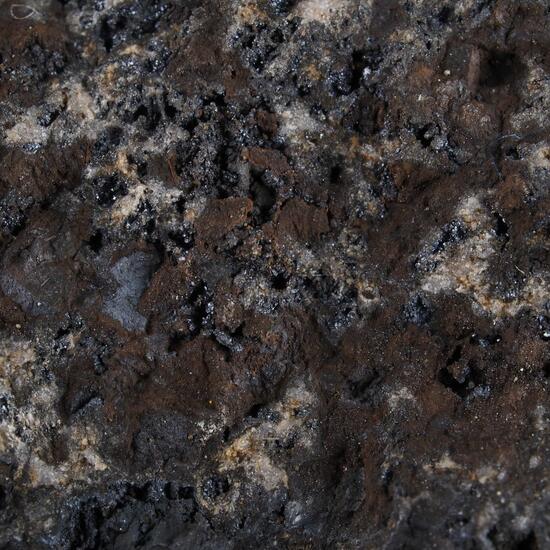 Feitknechtite On Pyrochroite