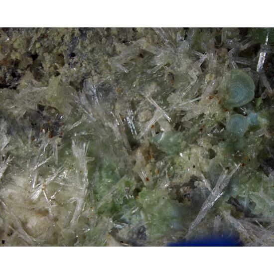 Schultenite