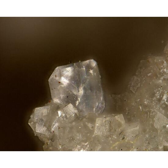 Behoite