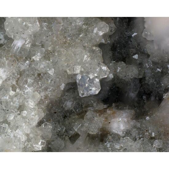Behoite
