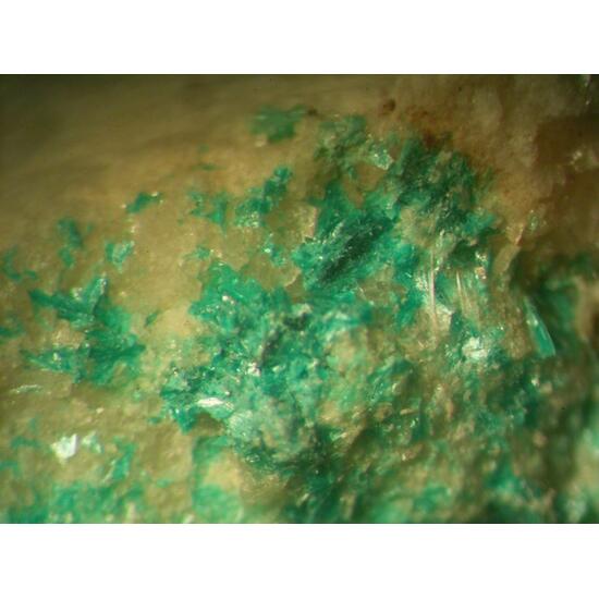 Tangdanite