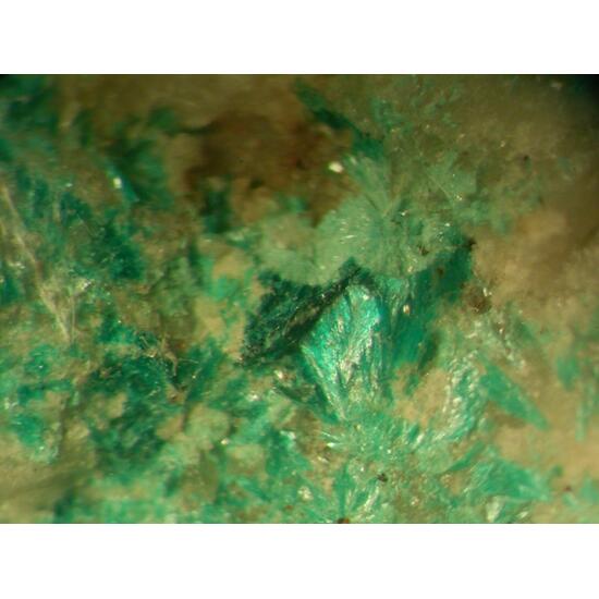 Tangdanite