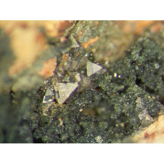 Polydymite