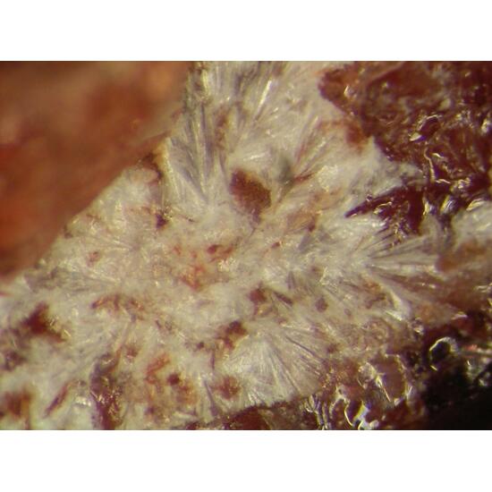 Laplandite-(Ce)