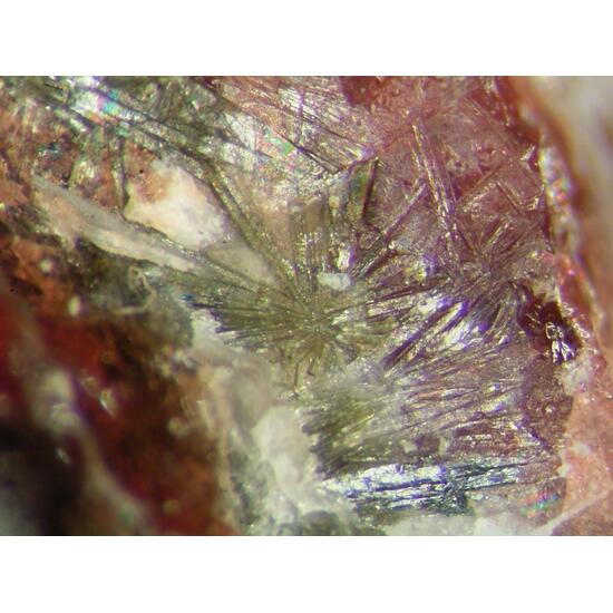 Laplandite-(Ce)