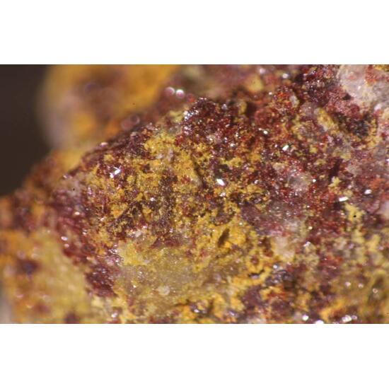 Argentojarosite & Carminite
