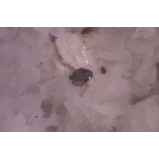 Maxwellite & Tripuhyite