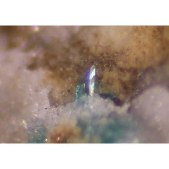 Niedermayrite