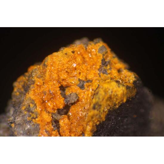 Rakovanite