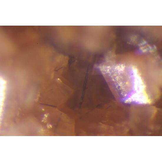 Scainiite