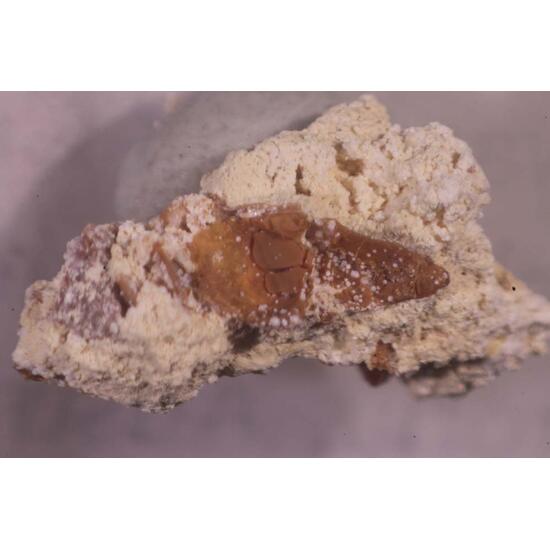 Parwanite & Taranakite