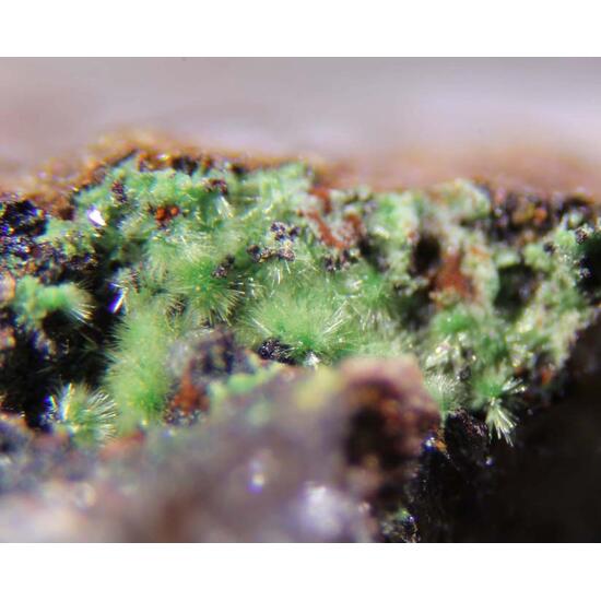 Creaseyite Wickenburgite & Mimetite