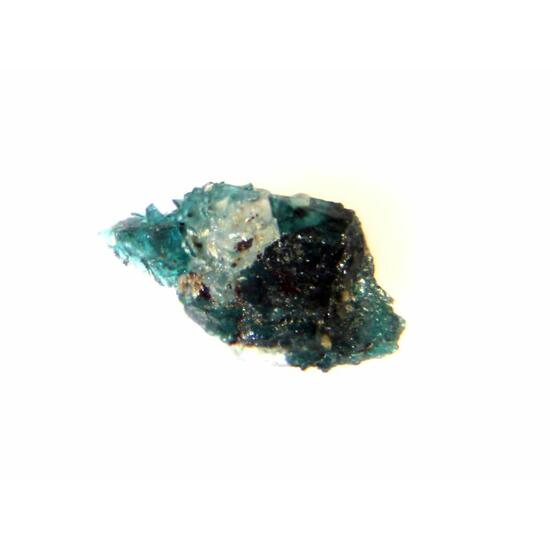 Lammerite