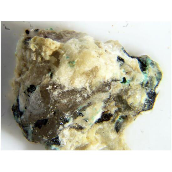 Magnolite