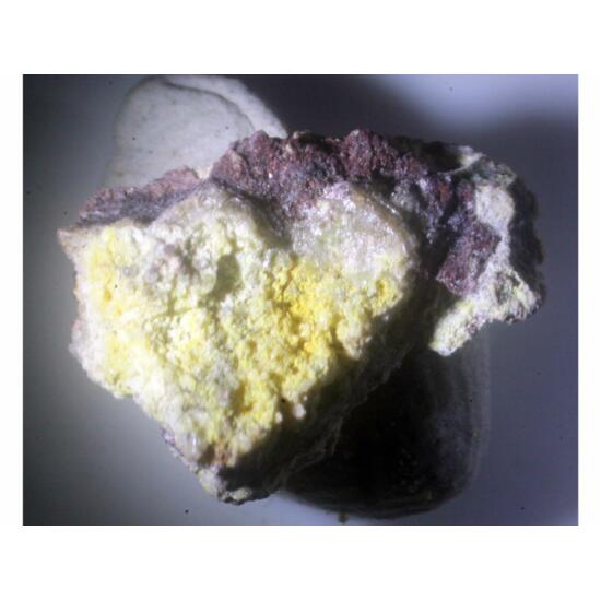 Tocornalite