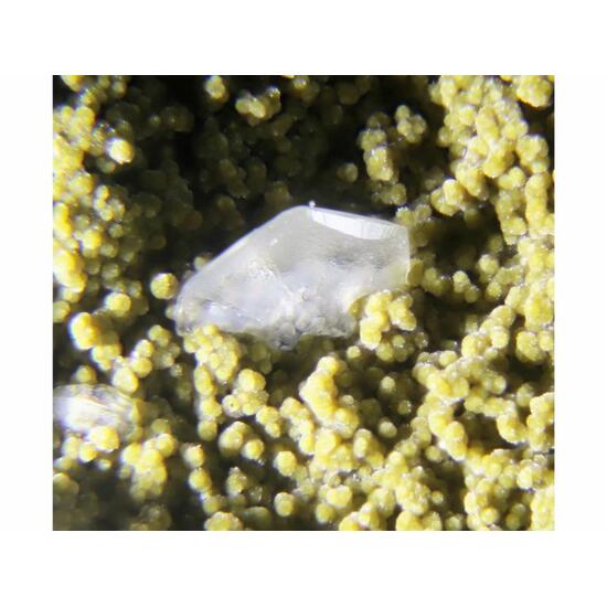 Chabazite-Na & Saponite