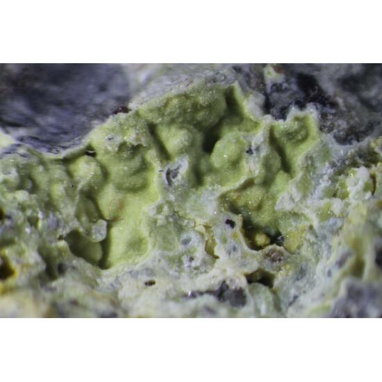 Thermessaite & Adranosite-(Fe)
