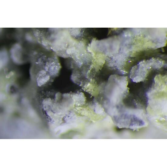 Thermessaite & Adranosite-(Fe)