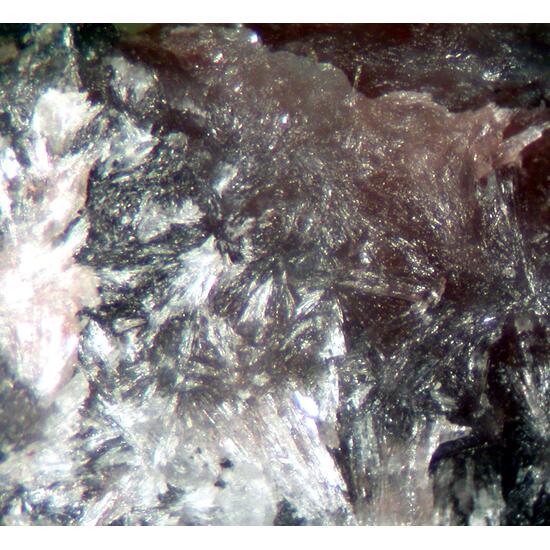 Schizolite
