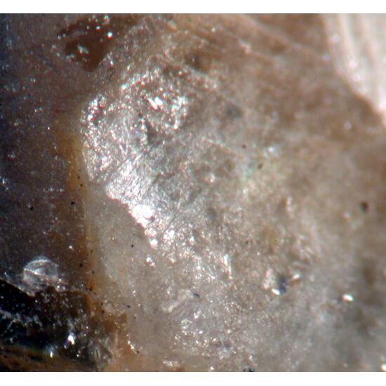 Morinite