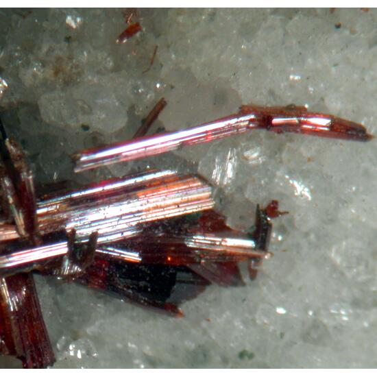 Rutile