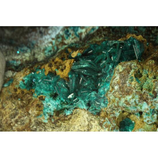 Chalcophyllite & Carbonatecyanotrichite