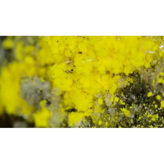 Zippeite On Uraninite