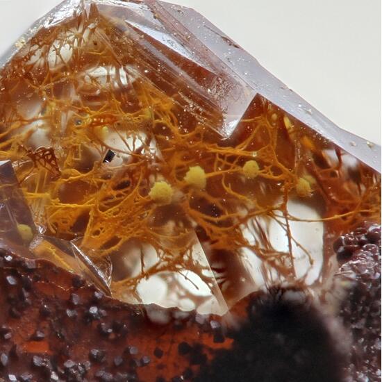 Quartz With Fossil Fungi Inclusions