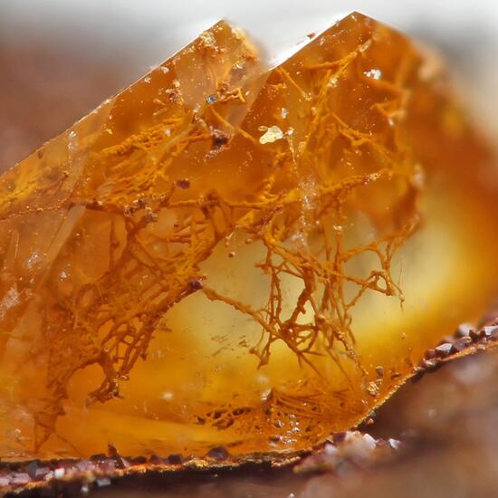 Quartz With Fossil Bacteria Inclusions