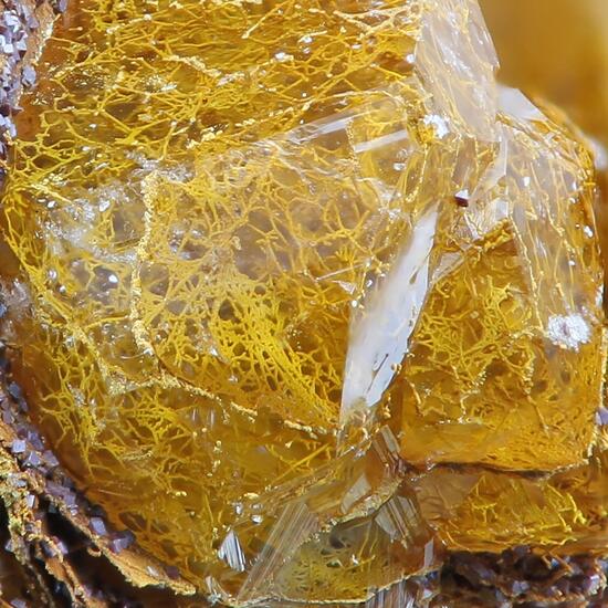 Quartz With Fossil Bacteria Inclusions